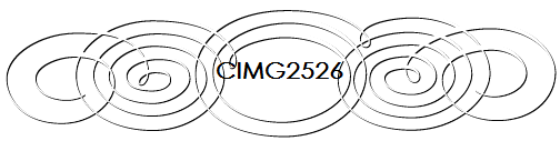 CIMG2526