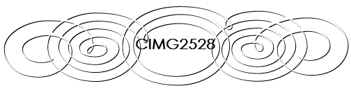 CIMG2528