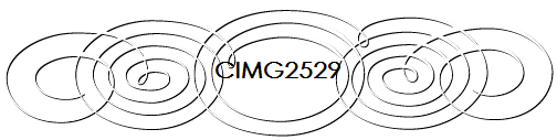CIMG2529