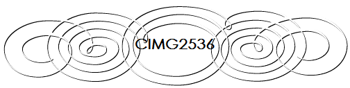 CIMG2536