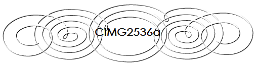 CIMG2536a