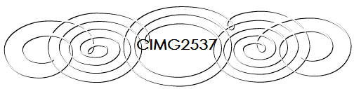 CIMG2537