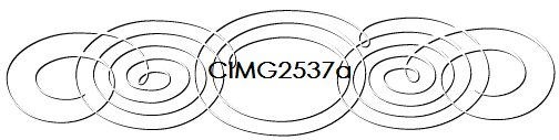 CIMG2537a