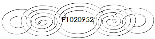 P1020952