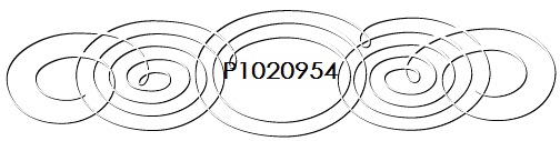 P1020954