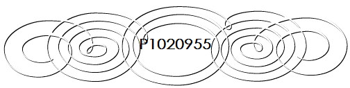 P1020955